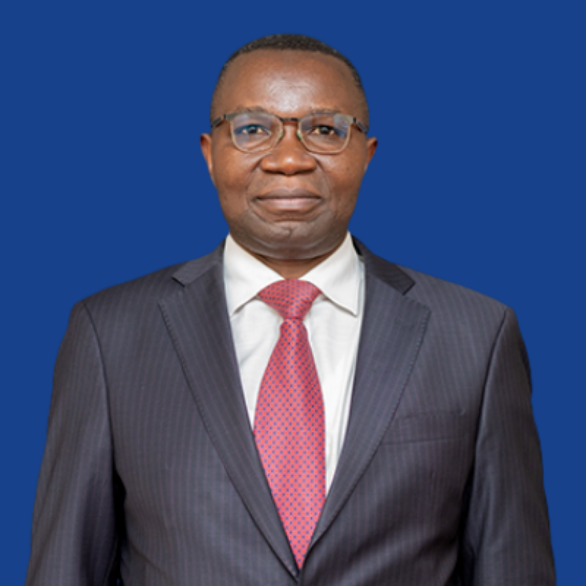 Paluku julien ministre rdc