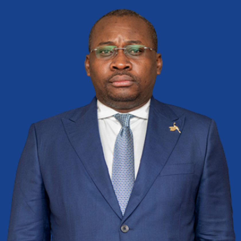 Loando guy ministre rdc