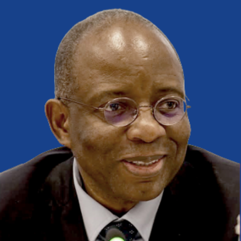 ngefa guillaume ministre rdc