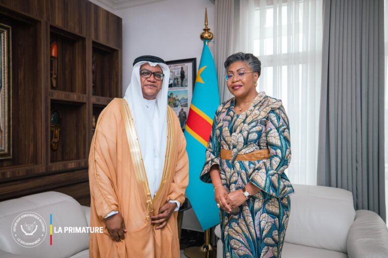 suminwa ambassadeur emirati