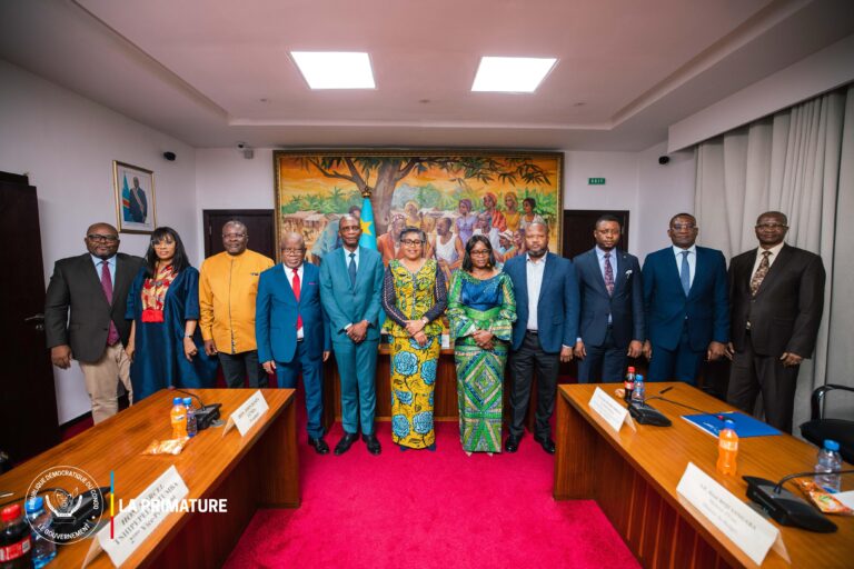 suminwa developpement rdc