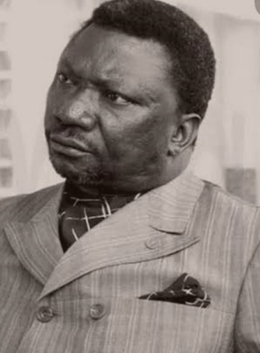JEAN NGUZA KARL-I-BOND