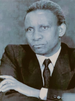 FAUSTIN BIRINDWA